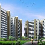 Apartment Living vs. Traditional Homes: What’s Right for You?