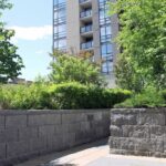 The Rise of Green Roofs: A Sustainable Solution for Urban Buildings in Pakistan